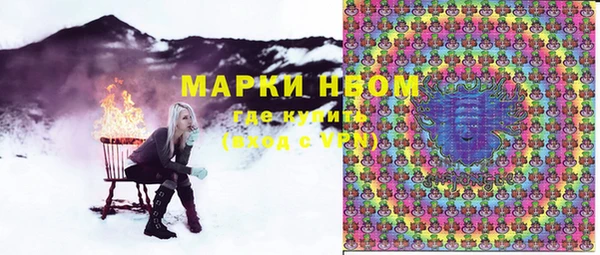 2c-b Снежногорск