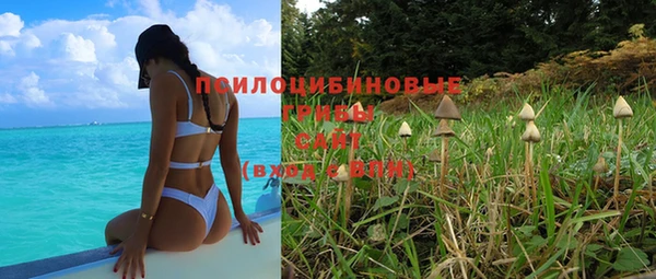 винт Снежинск